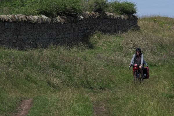 Vicki riding in a field 2