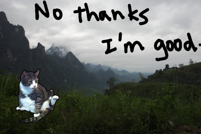 Still No Thanks