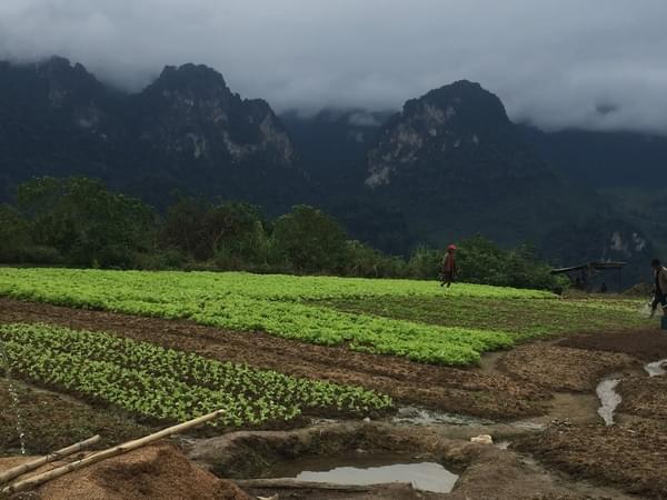 Fog in Laos