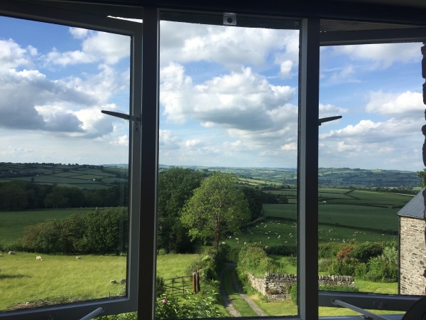 view